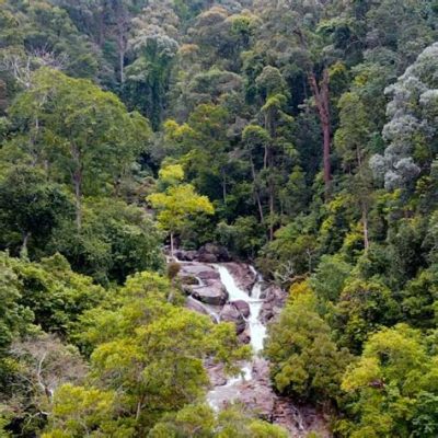 The Guardian Spirit of Gunung Ledang, A Masterful Display of Bronze and Spiritualism!