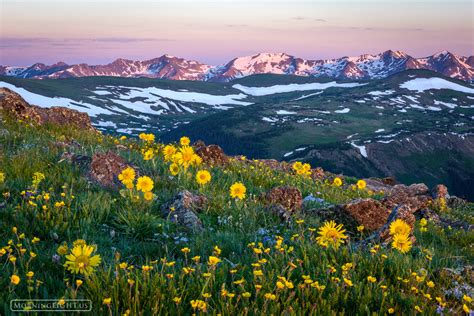 The Rocky Mountains - A Breathtaking Symphony of Earth Tones and Celestial Majesty!